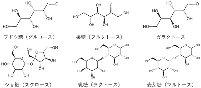 示差屈折率検出器の測定フロー
