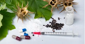 農薬・動物用薬品・カビ毒
