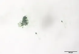 出荷前の飲料中に
浮遊物が見つかった