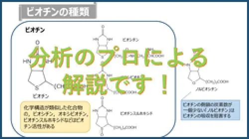 【2022年度 オープンセミナー】「機能性表示農産物の現状と可能性」