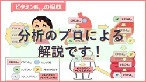 【2022年度 オープンセミナー】知っておきたいビタミン～その働きと有効性について～