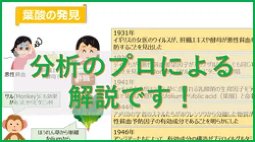 【2022年度　オープンセミナー】 わたしが「食べる」を支えることの意味