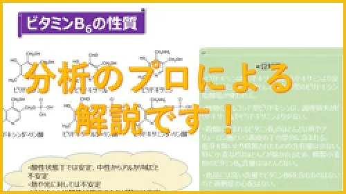 【2022年度　食のトレンドオンラインセミナー】 SDGs時代の食品市場における課題～国内外の食品ロス事情やフードバンク等の取り組み～